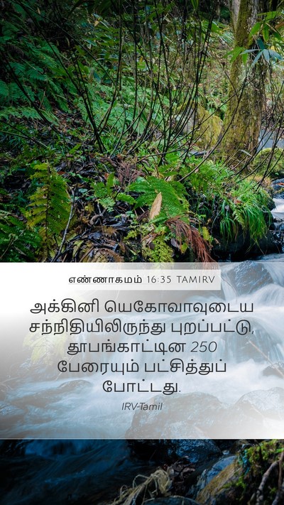 எண்ணாகமம் 16:35 TAMIRV Bible Verse Image