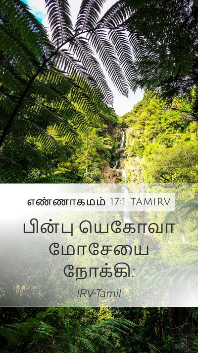 எண்ணாகமம் 17:1 TAMIRV Mobile Phone Wallpaper - பின்பு யெகோவா - Mobile Bible Verse Wallpaper