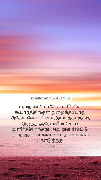 எண்ணாகமம் 17:8 TAMIRV Bible Verse Image