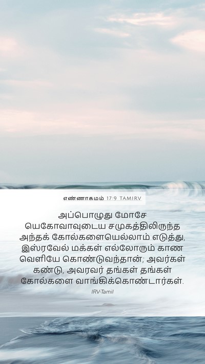 எண்ணாகமம் 17:9 TAMIRV Mobile Phone Wallpaper - அப்பொழுது மோசே - Mobile Bible Verse Wallpaper