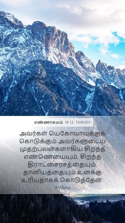 எண்ணாகமம் 18:12 TAMIRV Mobile Phone Wallpaper - அவர்கள் - Mobile Bible Verse Wallpaper