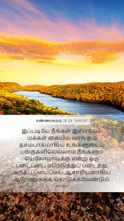 எண்ணாகமம் 18:28 TAMIRV Mobile Phone Wallpaper - இப்படியே நீங்கள் - Mobile Bible Verse Wallpaper