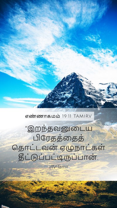 எண்ணாகமம் 19:11 TAMIRV Bible Verse Image
