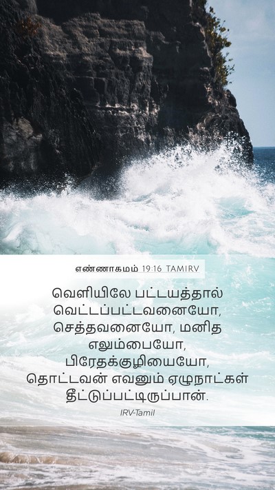 எண்ணாகமம் 19:16 TAMIRV Bible Verse Image