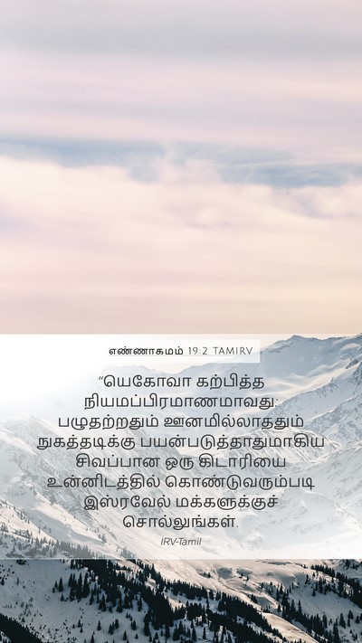 எண்ணாகமம் 19:2 TAMIRV Bible Verse Image