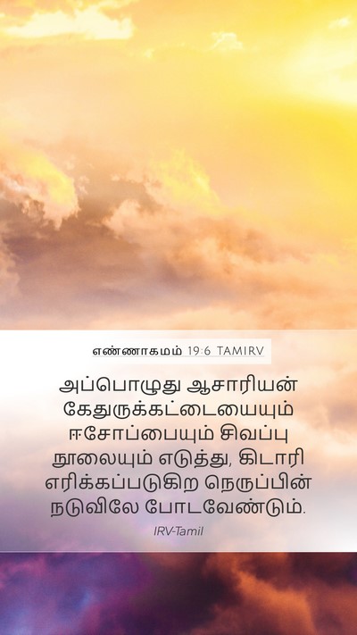 எண்ணாகமம் 19:6 TAMIRV Mobile Phone Wallpaper - அப்பொழுது - Mobile Bible Verse Wallpaper