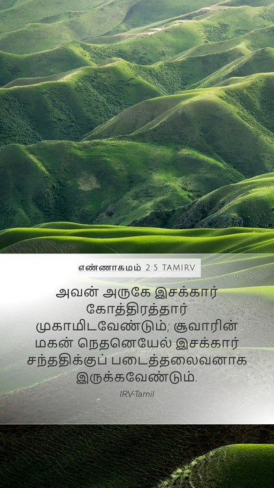 எண்ணாகமம் 2:5 TAMIRV Bible Verse Image