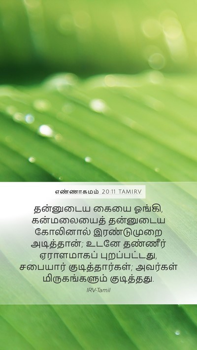 எண்ணாகமம் 20:11 TAMIRV Bible Verse Image