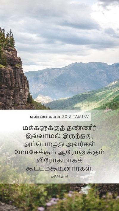 எண்ணாகமம் 20:2 TAMIRV Mobile Phone Wallpaper - மக்களுக்குத் - Mobile Bible Verse Wallpaper
