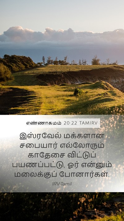 எண்ணாகமம் 20:22 TAMIRV Mobile Phone Wallpaper - இஸ்ரவேல் மக்களான - Mobile Bible Verse Wallpaper