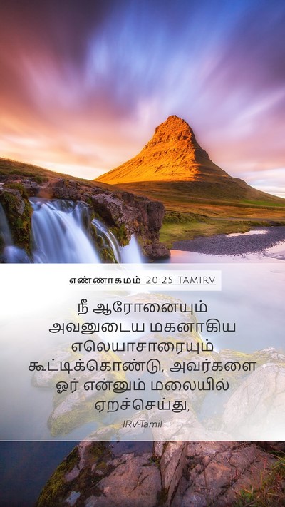 எண்ணாகமம் 20:25 TAMIRV Bible Verse Image