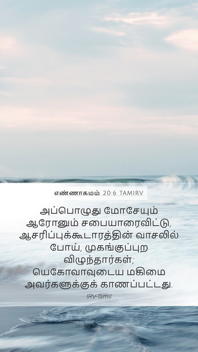 எண்ணாகமம் 20:6 TAMIRV Bible Verse Image