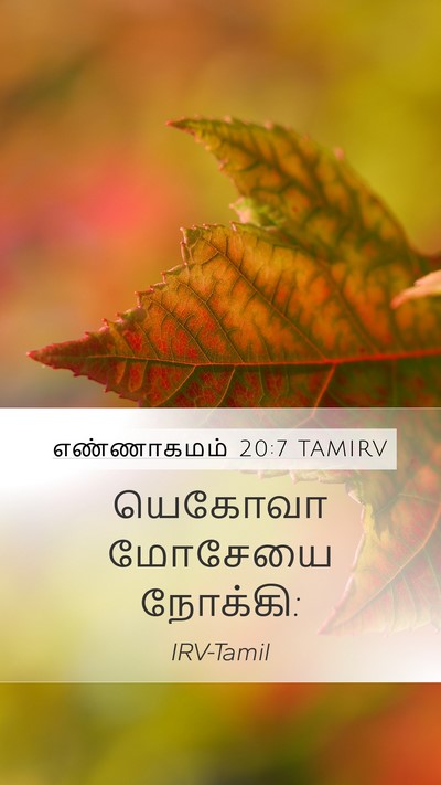எண்ணாகமம் 20:7 TAMIRV Mobile Phone Wallpaper - யெகோவா மோசேயை - Mobile Bible Verse Wallpaper