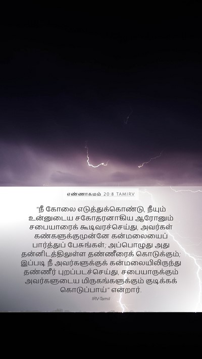 எண்ணாகமம் 20:8 TAMIRV Bible Verse Image