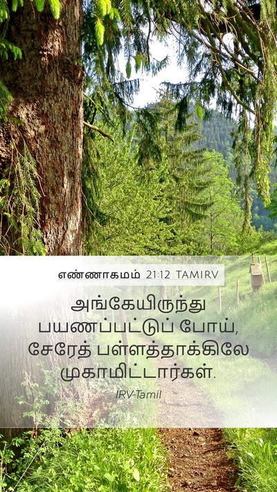 எண்ணாகமம் 21:12 TAMIRV Mobile Phone Wallpaper - அங்கேயிருந்து - Mobile Bible Verse Wallpaper