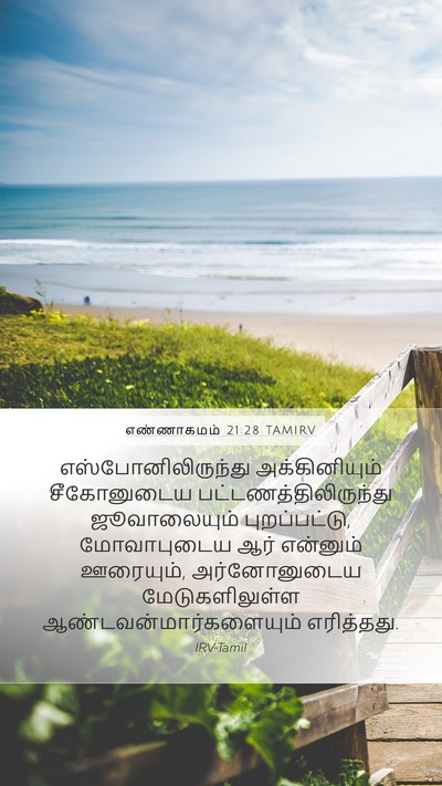 எண்ணாகமம் 21:28 TAMIRV Bible Verse Image