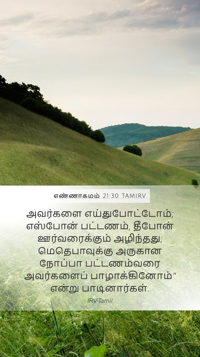 எண்ணாகமம் 21:30 TAMIRV Bible Verse Image