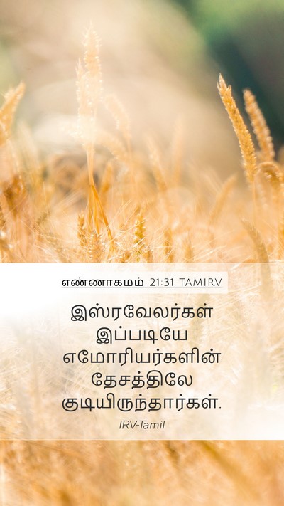 எண்ணாகமம் 21:31 TAMIRV Bible Verse Image