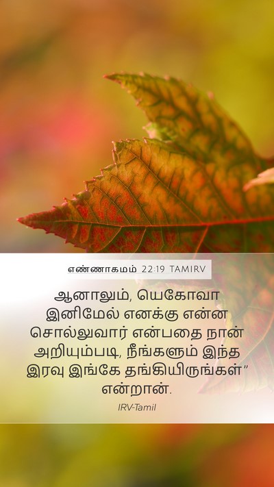 எண்ணாகமம் 22:19 TAMIRV Mobile Phone Wallpaper - ஆனாலும், யெகோவா - Mobile Bible Verse Wallpaper