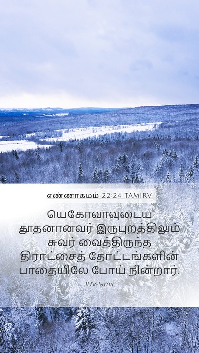 எண்ணாகமம் 22:24 TAMIRV Mobile Phone Wallpaper - யெகோவாவுடைய - Mobile Bible Verse Wallpaper