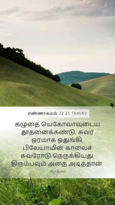 எண்ணாகமம் 22:25 TAMIRV Mobile Phone Wallpaper - கழுதை யெகோவாவுடைய - Mobile Bible Verse Wallpaper