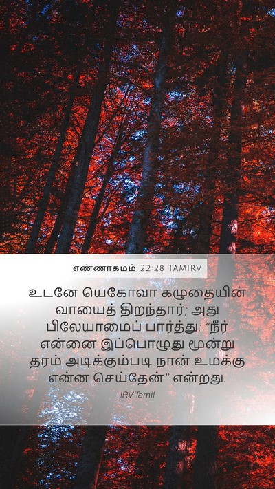 எண்ணாகமம் 22:28 TAMIRV Bible Verse Image
