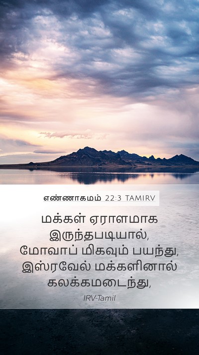 எண்ணாகமம் 22:3 TAMIRV Mobile Phone Wallpaper - மக்கள் ஏராளமாக - Mobile Bible Verse Wallpaper