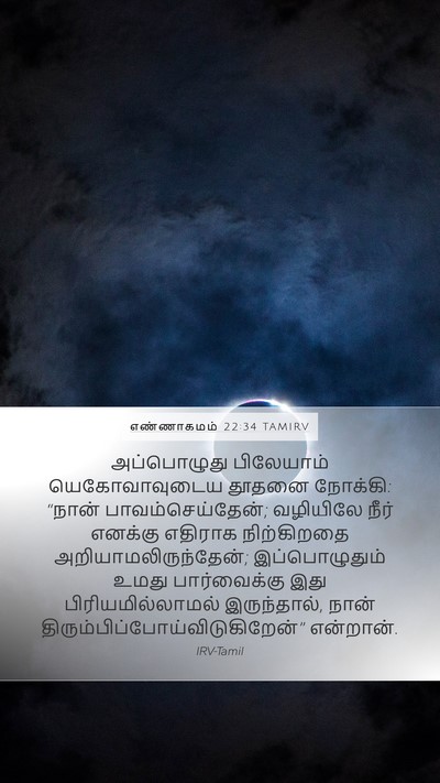 எண்ணாகமம் 22:34 TAMIRV Mobile Phone Wallpaper - அப்பொழுது - Mobile Bible Verse Wallpaper