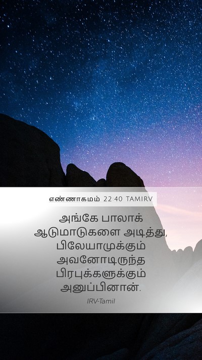 எண்ணாகமம் 22:40 TAMIRV Mobile Phone Wallpaper - அங்கே பாலாக் - Mobile Bible Verse Wallpaper