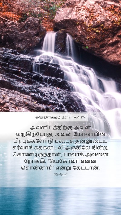 எண்ணாகமம் 23:17 TAMIRV Mobile Phone Wallpaper - அவனிடத்திற்கு - Mobile Bible Verse Wallpaper