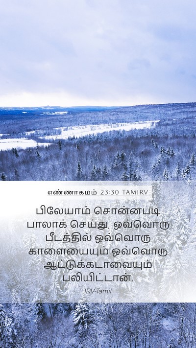 எண்ணாகமம் 23:30 TAMIRV Bible Verse Image