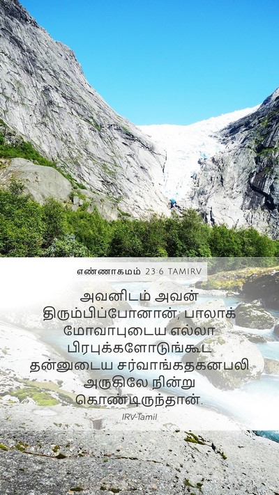 எண்ணாகமம் 23:6 TAMIRV Bible Verse Image