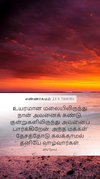எண்ணாகமம் 23:9 TAMIRV Bible Verse Image