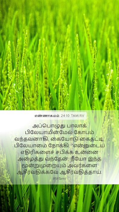 எண்ணாகமம் 24:10 TAMIRV Bible Verse Image