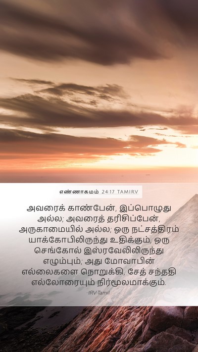 எண்ணாகமம் 24:17 TAMIRV Bible Verse Image