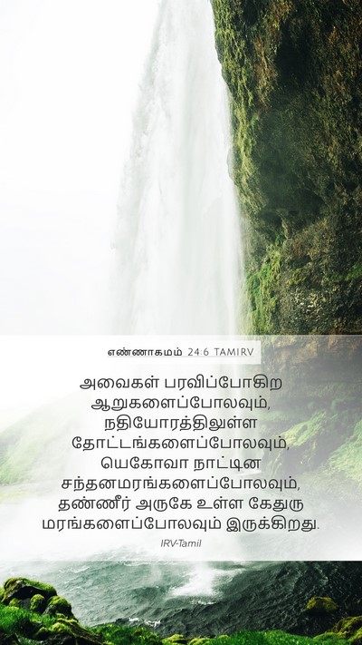 எண்ணாகமம் 24:6 TAMIRV Mobile Phone Wallpaper - அவைகள் - Mobile Bible Verse Wallpaper
