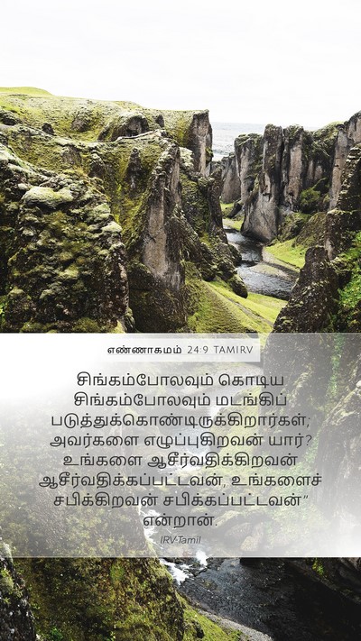 எண்ணாகமம் 24:9 TAMIRV Mobile Phone Wallpaper - சிங்கம்போலவும் - Mobile Bible Verse Wallpaper