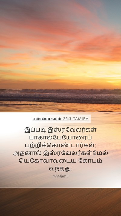 எண்ணாகமம் 25:3 TAMIRV Bible Verse Image