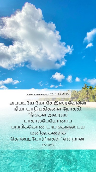 எண்ணாகமம் 25:5 TAMIRV Bible Verse Image