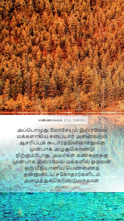 எண்ணாகமம் 25:6 TAMIRV Bible Verse Image