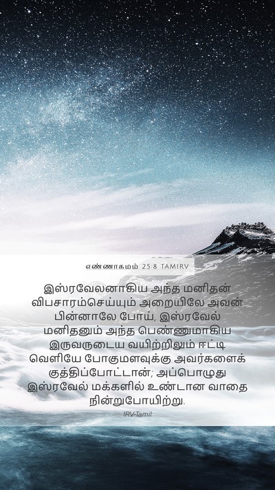 எண்ணாகமம் 25:8 TAMIRV Bible Verse Image
