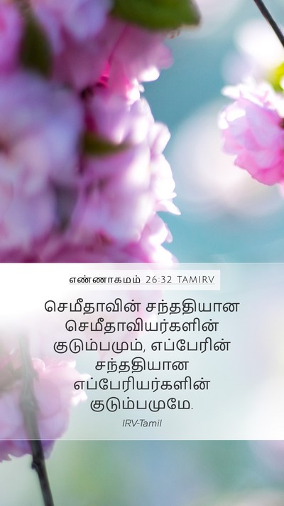 எண்ணாகமம் 26:32 TAMIRV Mobile Phone Wallpaper - செமீதாவின் - Mobile Bible Verse Wallpaper