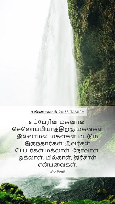 எண்ணாகமம் 26:33 TAMIRV Mobile Phone Wallpaper - எப்பேரின் மகனான - Mobile Bible Verse Wallpaper