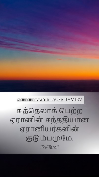 எண்ணாகமம் 26:36 TAMIRV Mobile Phone Wallpaper - சுத்தெலாக் பெற்ற - Mobile Bible Verse Wallpaper