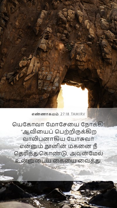 எண்ணாகமம் 27:18 TAMIRV Bible Verse Image