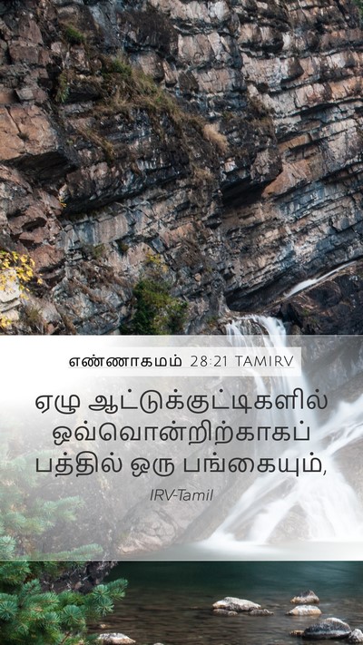எண்ணாகமம் 28:21 TAMIRV Mobile Phone Wallpaper - ஏழு - Mobile Bible Verse Wallpaper