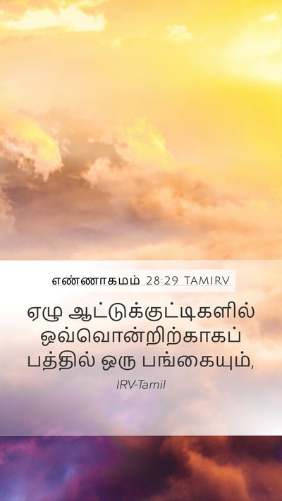 எண்ணாகமம் 28:29 TAMIRV Mobile Phone Wallpaper - ஏழு - Mobile Bible Verse Wallpaper