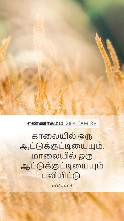 எண்ணாகமம் 28:4 TAMIRV Mobile Phone Wallpaper - காலையில் ஒரு - Mobile Bible Verse Wallpaper