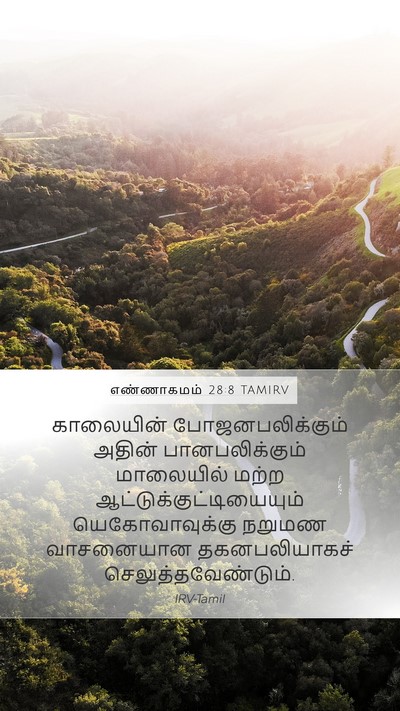 எண்ணாகமம் 28:8 TAMIRV Mobile Phone Wallpaper - காலையின் - Mobile Bible Verse Wallpaper