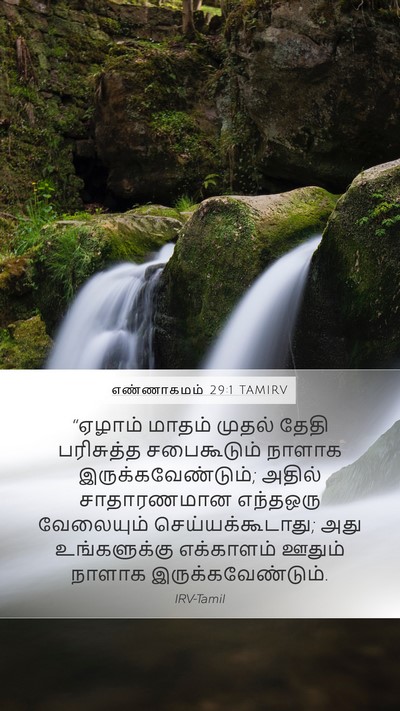 எண்ணாகமம் 29:1 TAMIRV Bible Verse Image
